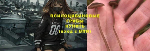 соль ск Остров