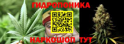 гидропоника Балахна