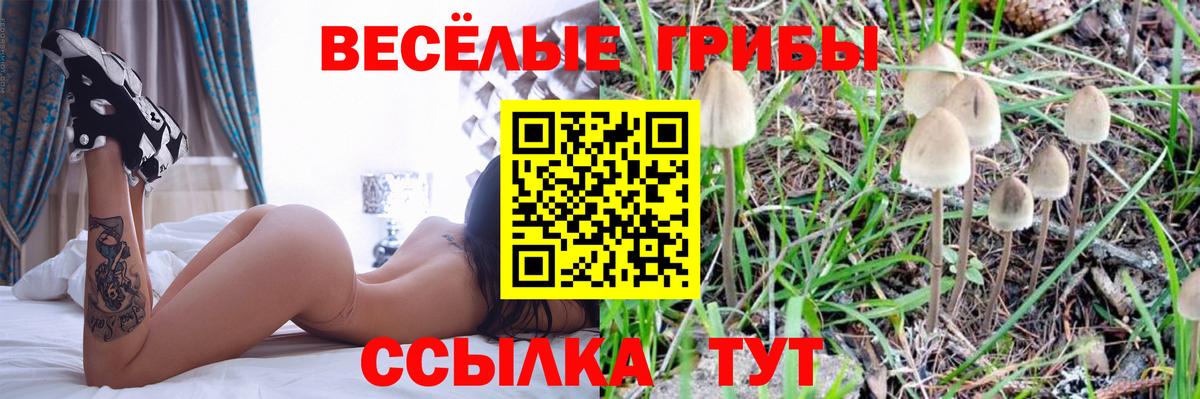 Галлюциногенные грибы MAGIC MUSHROOMS Владикавказ